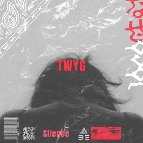 Twyg