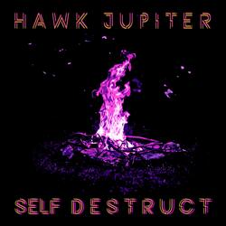 Self Destruct