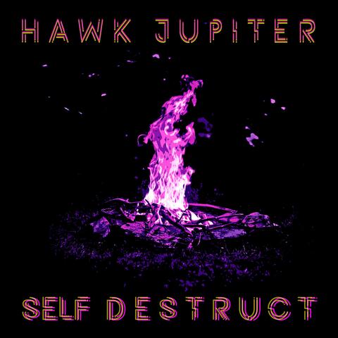 Self Destruct