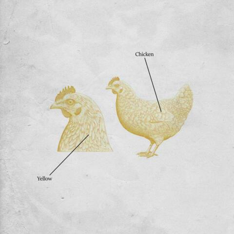 Chicken Yellow