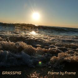 Frame by Frame