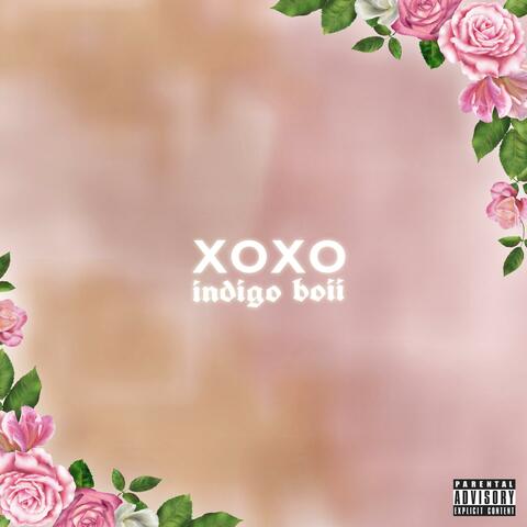 Xoxo