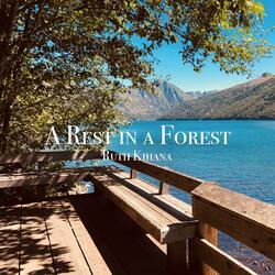 A Rest in a Forest