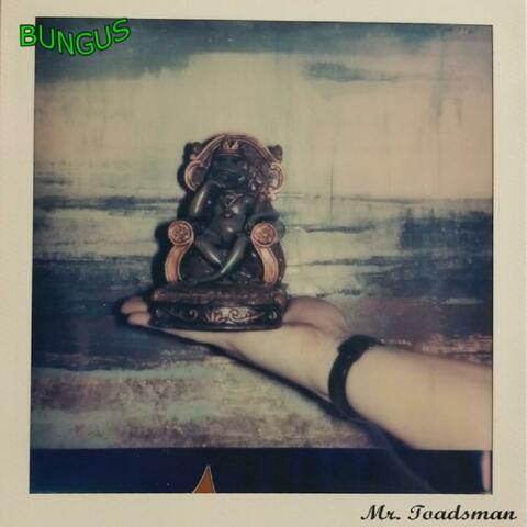 Mr. Toadsman
