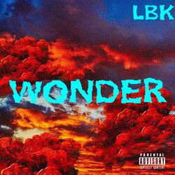 Wonder