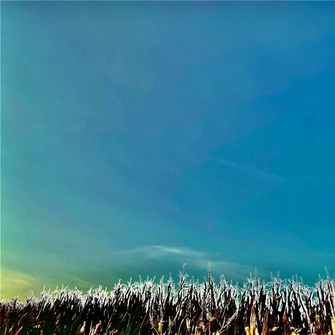 Philpot Nocturne #23 the Night Before Harvest
