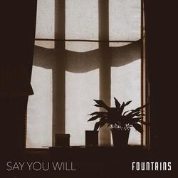 Say You Will