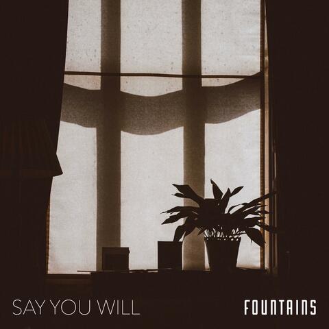 Say You Will