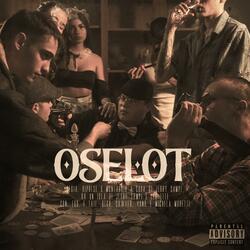 Oselot