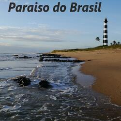 Paraiso Do Brasil