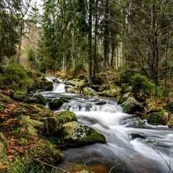 Rondo in B-Flat Minor