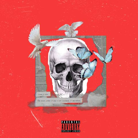 Hollow