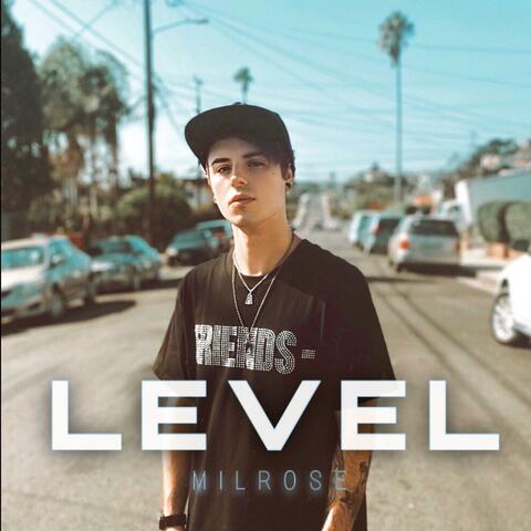 Level