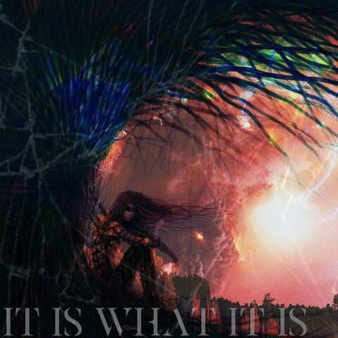 It Is What It Is