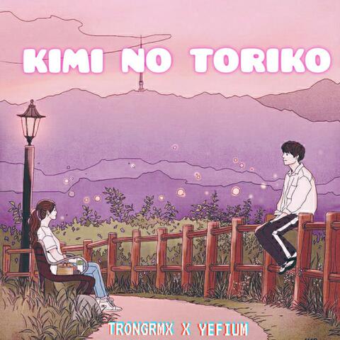 Kimi NO Toriko X Summertime