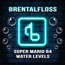 Super Mario 64 Water Levels (With Lyrics)