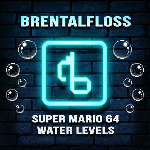 Super Mario 64 Water Levels (With Lyrics)