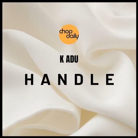 Handle