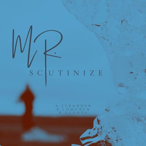 Mr.Scrutinize