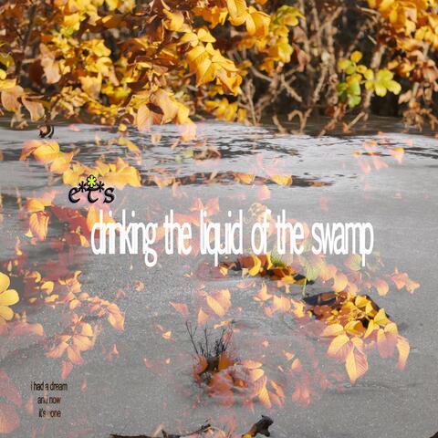 Drinking the Liquid of the Swamp