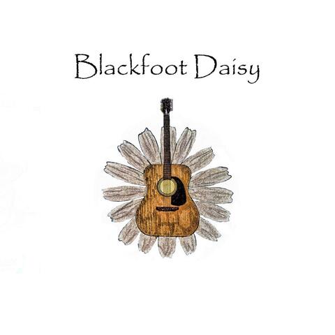 Blackfoot Daisy