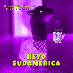 Heyo Sudamerica