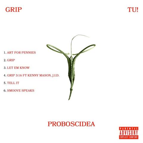 Proboscidea