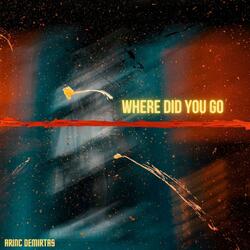 Where Did You Go