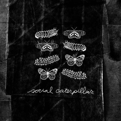 Social Caterpillar