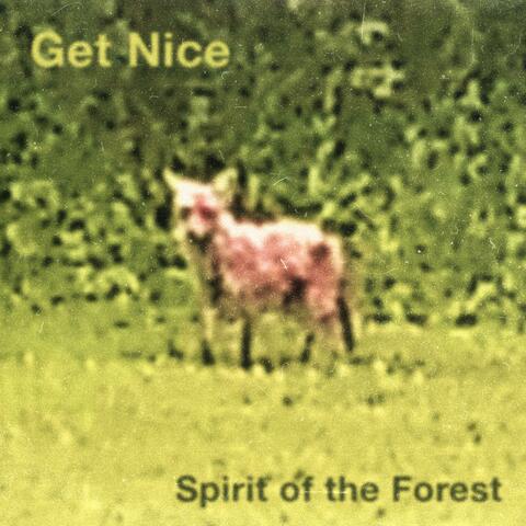 Spirit of the Forest