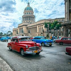 Cubano