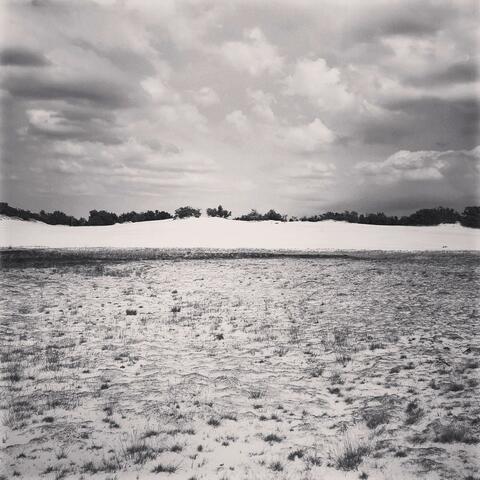 Une vie sur la terre
