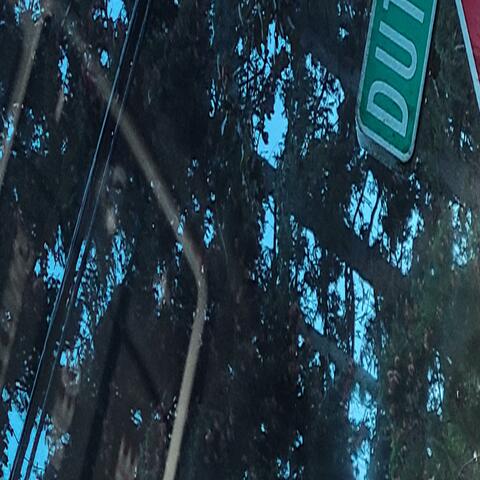 Sorry Not Sorry (200th Anniversary Edition)