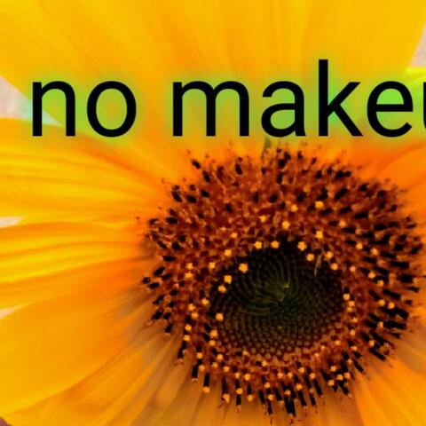 She Don't Need No Makeup (Radio Edit)