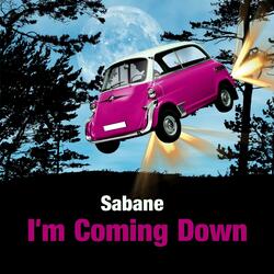I'm Coming Down