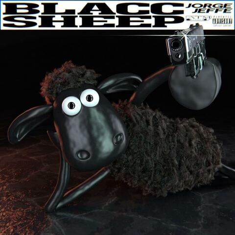 Blacc Sheep