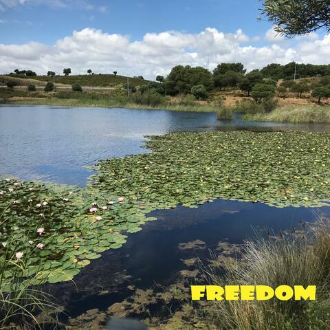 Freedom