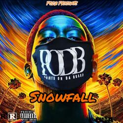 Snowfall