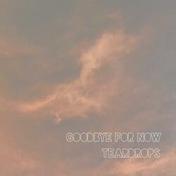 Goodbye for Now