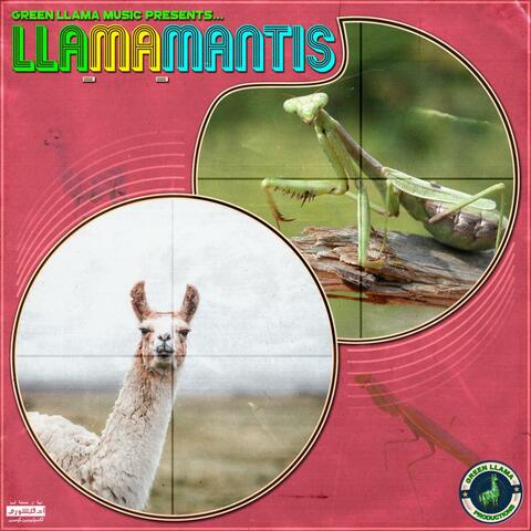 Llamamantis