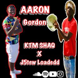 Aarron Gordon (feat. J5tew Loadedd)