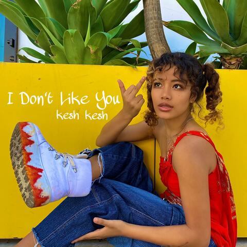 I Don't Like You