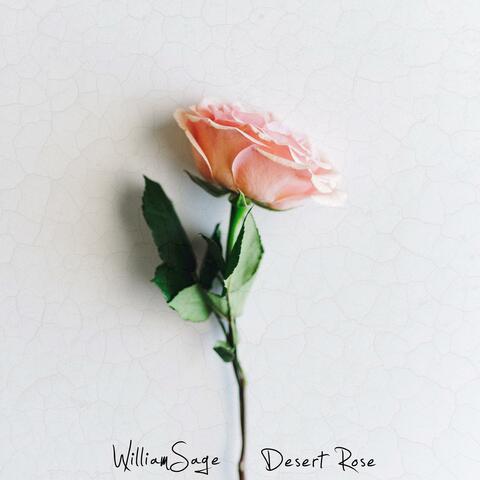 Desert Rose