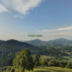 Forest Green (feat. Ossey)