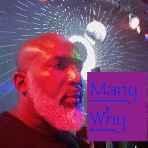 Many Why