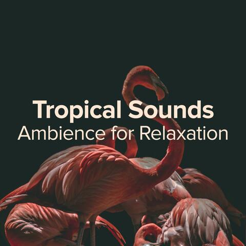 Tropical Sounds for Relaxation