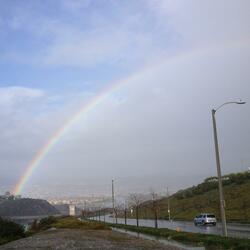 Can't Get You Out of My Mind