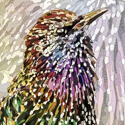 Starling