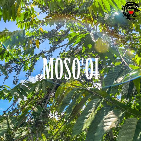 Moso'oi