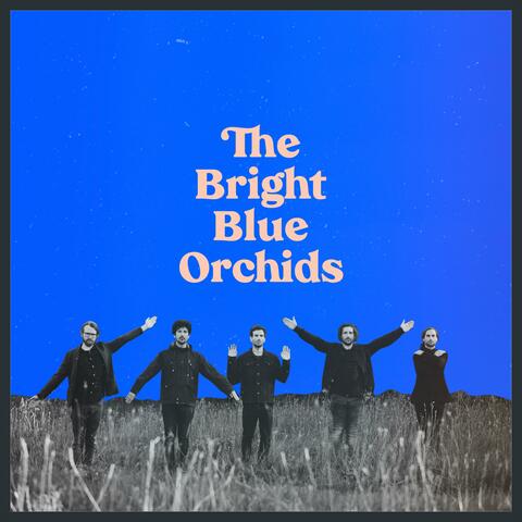 The Bright Blue Orchids